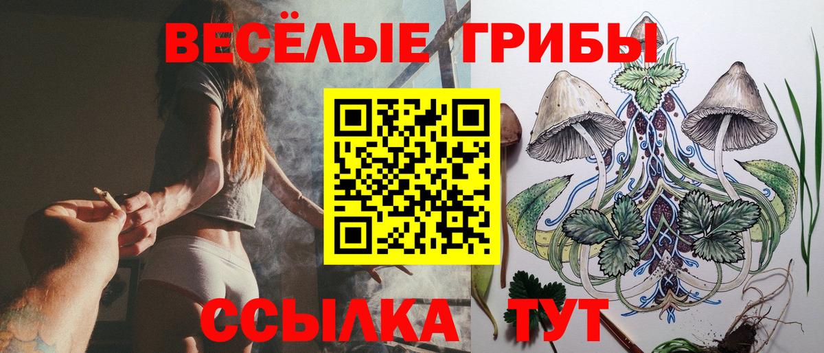 Псилоцибиновые грибы Psilocybine cubensis  Галлюциногенные грибы MAGIC MUSHROOMS  Фролово  Вход с VPN 